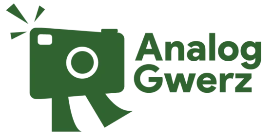 Logo Analog Gwerz