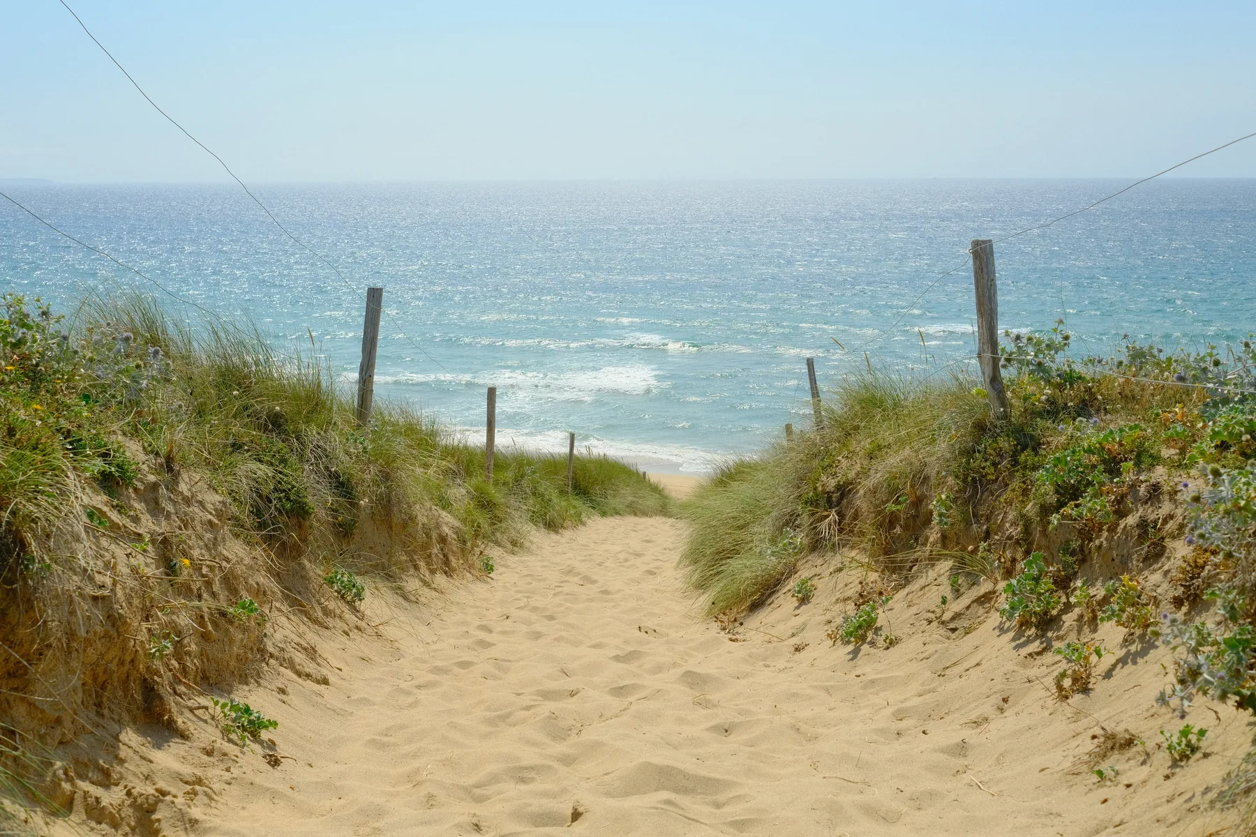 Chemin de sable entre les dunes menant à la plage