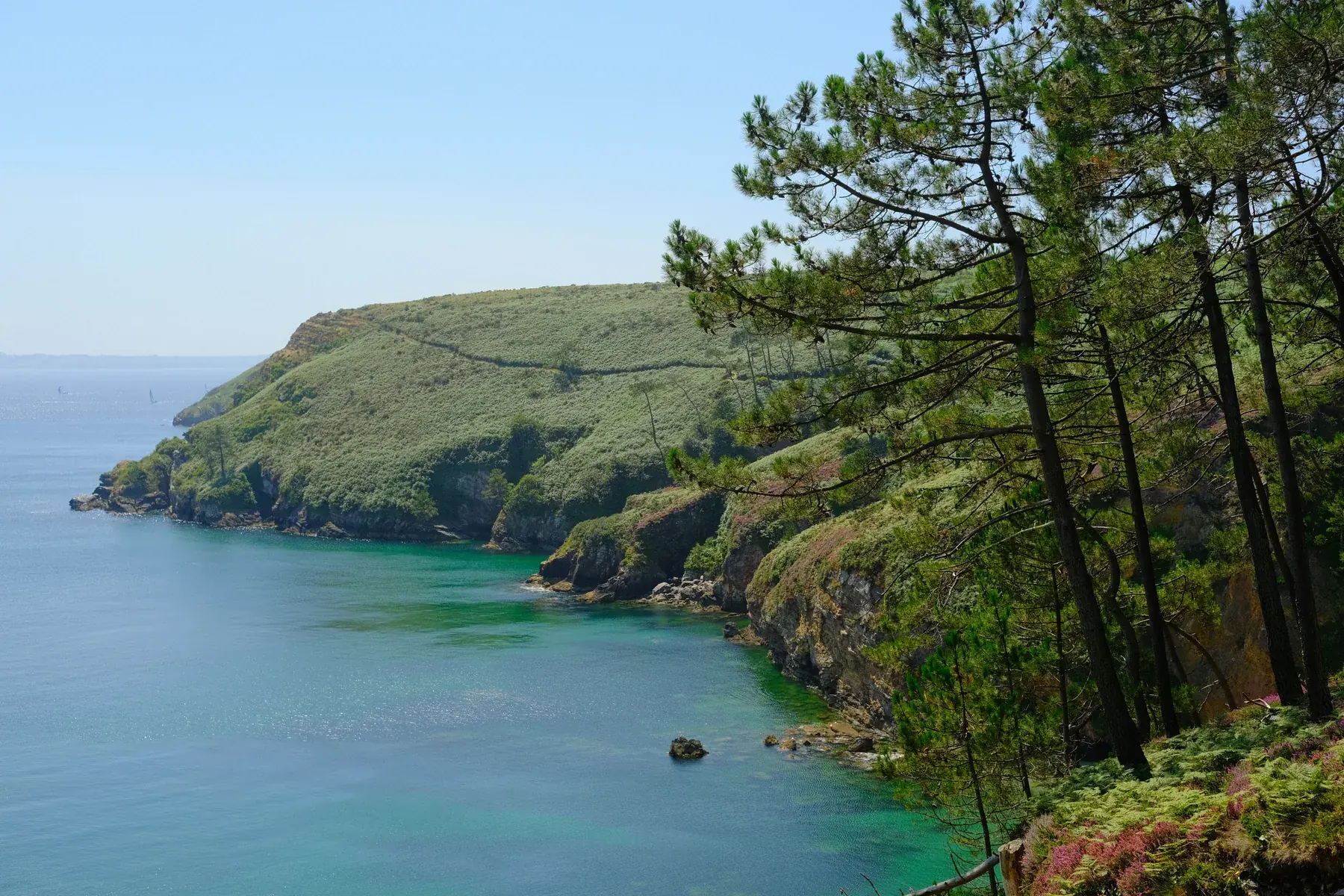 Pointe boisée surplombant la mer, sur le littoral breton