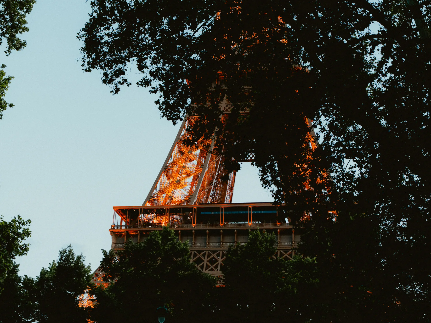 La tour Eiffel aperçue à travers les arbres, au crépuscule