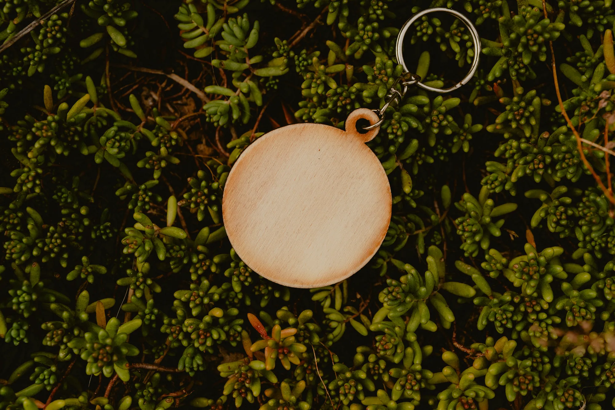 Le dos lisse d'un porte-clés rond en bois clair, prêt à graver, posé sur un feuillage.